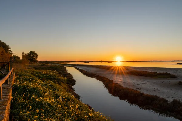 Krásný Západ Slunce Nad Mokřinami Bažinami Pestrou Oblohou Sluncem Obzoru — Stock fotografie