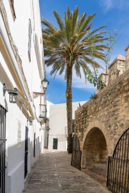 Vejer de la Frontera, İspanya - 17 Ocak 2021: Vejer de la Frontera 'nın tarihi merkezinde dar kaldırım taşı caddesi