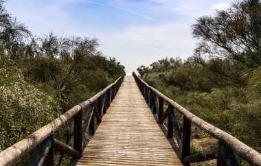 Uzun tahta bir sahil yolu ve sahil girişi bizi sahile ve ışıldayan okyanusa götürür.