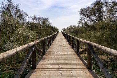 Uzun tahta bir sahil yolu ve sahil girişi bizi sahile ve ışıldayan okyanusa götürür.
