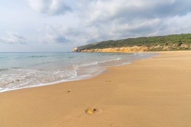 Huzurlu kumlu sahil, yumuşak dalgalar ve arka planda ağaçlarla kaplı tepeler ve yukarıda beyaz kabarık bulutlar.