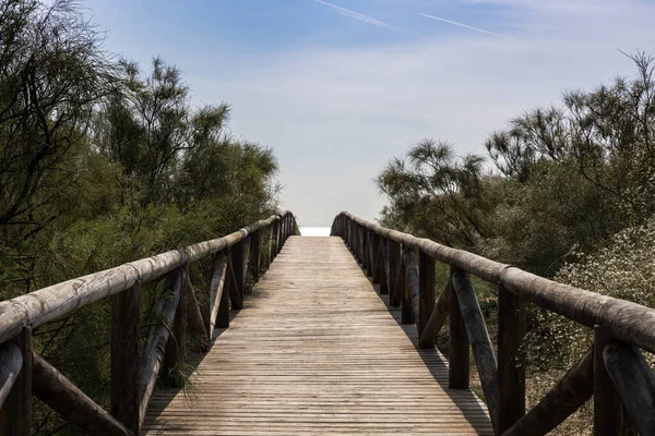 Lång Strandpromenad Trä Och Tillgång Till Stranden Leder Till Stranden — Stockfoto