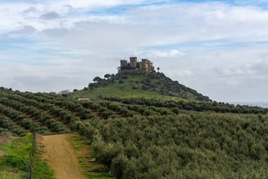 Almodovar del Rio 'daki ortaçağ şatosunun manzarası