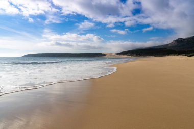 Huzurlu, boş, altın bir kumsal. Dalgalar, çam ormanı ve arka planda büyük bir kum tepesi.