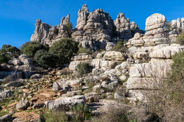 Endülüs 'teki El Torcal Doğa Parkı' ndaki İber vahşi dağ keçilerinin manzarası