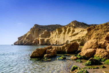 Akdeniz 'de sakin, sakin bir okyanus körfezi. Arkasında sarı kumtaşı uçurumları ve kumlu sahilde yeşil yosunlar var.