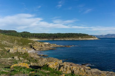Kayalık kıyıları ve çam ormanları olan vahşi bir okyanus kıyısı