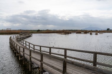 Uzun, ahşap bir rıhtım ve tuzlu sularda, esparto otları ve bulutlu bir gökyüzünün altında gölcüklerle dolu bir rıhtım.
