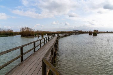 Uzun, ahşap bir rıhtım ve tuzlu sularda, esparto otları ve bulutlu bir gökyüzünün altında gölcüklerle dolu bir rıhtım.