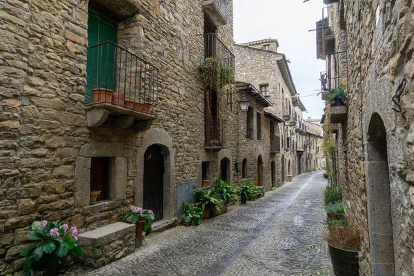 Büyük kahverengi taş evleri olan dar bir kaldırım taşı sokağının dikey görüntüsü