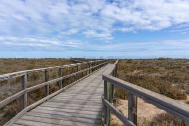 Kıyı bataklıkları ve kum tepeleri boyunca uzanan ahşap bir sahil yolu.