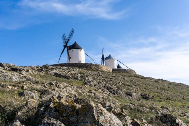 La Mancha 'da, Consuegra' nın yukarısındaki bir tepenin üzerinde, beyazlatılmış İspanyol yel değirmenlerinin manzarası.