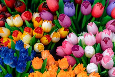 A close up view of colorful and vibrant wooden tulip flowers