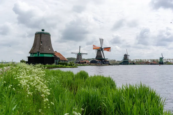 Вид Исторические Ветряные Мельницы Заансе Шаанс Северной Голландии — стоковое фото