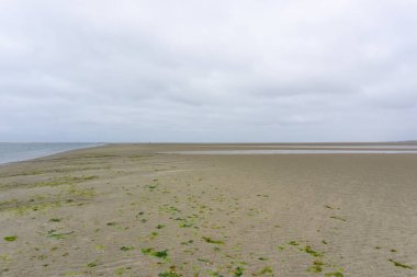 Dalgaların çekildiği Wadden Denizi sahili manzarası