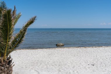 Frederikshavn 'daki güzel, beyaz Palm Beach manzarası.