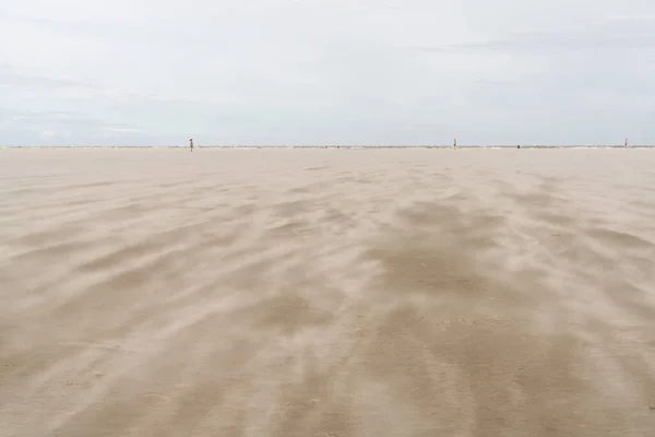 Beautiful Idyllic Beach Strong Wind Whipping Sand — Stock Photo, Image