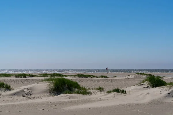 Uma Vista Dunas Areia Cobertas Juncos Gramíneas Sob Céu Azul — Fotografia de Stock