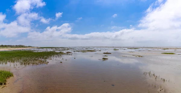 浅い水の中に反射するワッデン海の風景のパノラマビュー — ストック写真