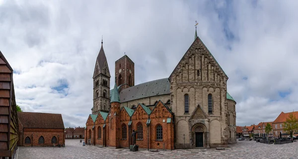 Ribe Danimarca Maggio 2021 Veduta Panoramica Della Cattedrale Della Piazza — Foto Stock