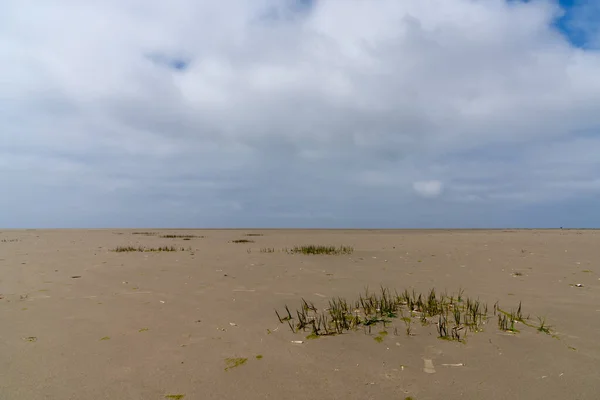 Dalgaların Çekildiği Wadden Denizi Sahili Manzarası — Stok fotoğraf