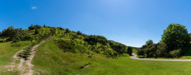 panorama of a hiking trail and stair steps path leading into the heart of green heath and forest landscape clipart