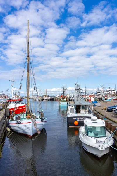 덴마크의 길레예 2021 덴마크 질레예에 항구와 마리나의 과많은 어선들이 덴마크 — 스톡 사진