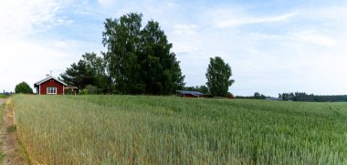 Stigtomta, İsveç - 21 Haziran 2021: İsveç 'te kırmızı evler, ormanlar ve ön planda bir buğday tarlası bulunan tipik bir manzara manzarası