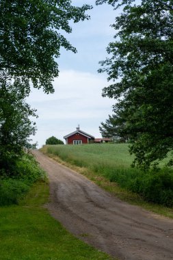 Stigtomta, İsveç - 21 Haziran 2021: Kırsal kesimde bir çakıl yolunun dikey görüntüsü ormandan geçerek kırmızı bir kulübeye gidiyor.