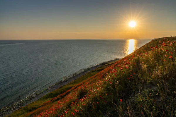 Ein Horizontaler Blick Auf Die Wunderschöne Meeresküste Mit Abfallenden Grasbewachsenen — Stockfoto