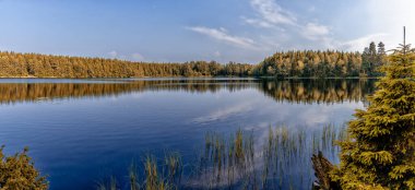 Yabanda sakin ve pitoresk bir gölü olan bereketli sonbahar ormanlarından oluşan bir manzara.