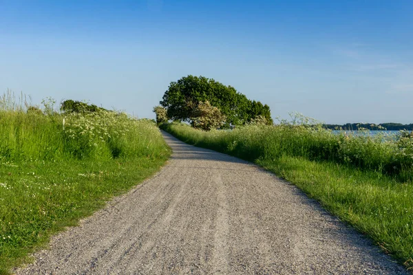 Grusväg Som Leder Genom Höga Gräsängar Med Träd Och Havskust — Stockfoto