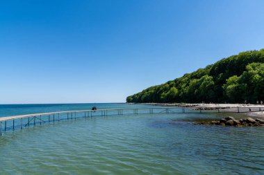 Aarhus Körfezi 'ndeki insanlar. Önünde Sonsuz Köprü, arkasında orman olan insanlar. Mavi bulutsuz gökyüzünün altında.