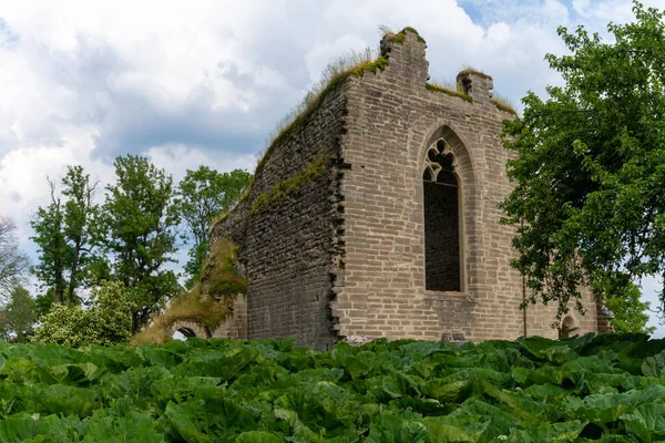 Alvastra Svezia Giugno 2021 Veduta Delle Rovine Dell Abbazia Alvastra — Foto Stock