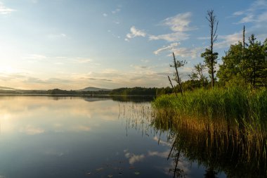 Suda yansımaları olan bir göl manzarası ve sahildeki ormanda parlayan sıcak bir akşam ışığı.