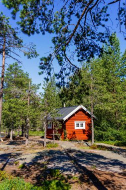 İsveç 'in kuzeyindeki Baltık Denizi' nde orman manzarasında cennet gibi ahşap bir kır evinin dikey görüntüsü.