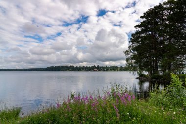 Arka planda Stromsund 'un küçük bir kasabası olan pitoresk bir göl üzerinde yaz çiçekleri ve ağaçlarının manzarası