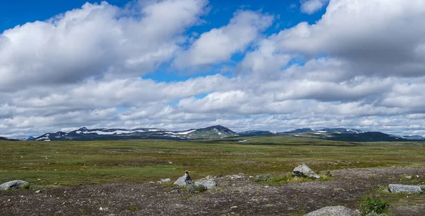 İsveç 'in Lappland kentindeki Stekenkokk Platosu' nun vahşi tundra manzarasının manzarası.