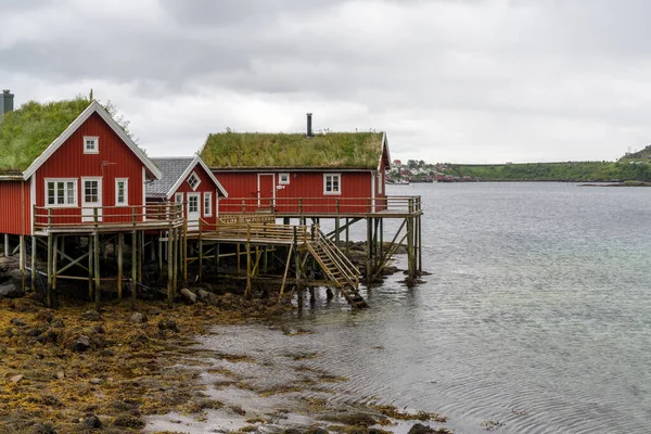 Moskenes Noruega Julio 2021 Coloridas Casas Madera Roja Sobre Pilotes — Foto de Stock