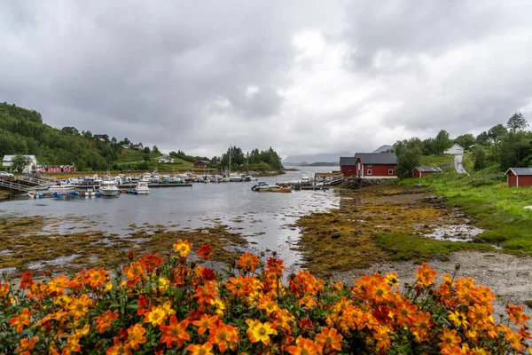 2021年7月18日 挪威哈尔萨 哈尔萨和滨海港 拥有许多小船和五彩斑斓的花朵 — 图库照片
