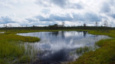Resimli turba bataklığı ve mavi göl manzarası. Beyaz bulutlu, anlamlı bir gökyüzü altında.