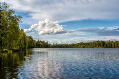Beyaz bulutlu mavi gökyüzünün altında yemyeşil yaz bitkileriyle huzurlu ve huzurlu bir göl manzarası.