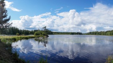Beyaz bulutlu mavi gökyüzünün altında yemyeşil yaz bitkileriyle huzurlu ve huzurlu bir göl manzarası.