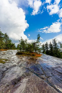 Ön planda büyük bir kaya parçası olan bir tayga ormanı manzarası.