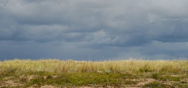 Kıyıdaki vahşi bataklık çimenleri ve kum tepeleri karanlık ve kasvetli bir gökyüzünün altında.