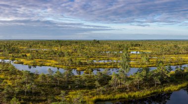 Yüksek açılı göl ve göl manzarası yükseltilmiş bataklık ve bataklık manzarası