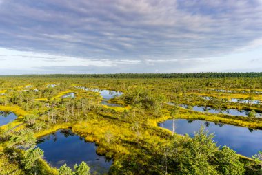 Yüksek açılı göl ve göl manzarası yükseltilmiş bataklık ve bataklık manzarası