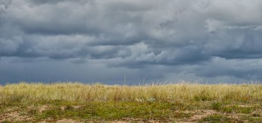 Kıyıdaki vahşi bataklık çimenleri ve kum tepeleri karanlık ve kasvetli bir gökyüzünün altında.