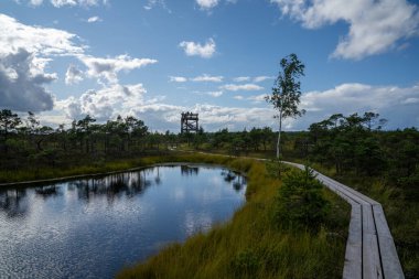 Kaldırılmış bir bataklık ve bataklık manzarası boyunca uzanan ahşap bir tahta kaldırım.