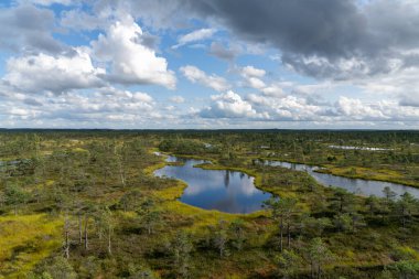 Yüksek açılı göl ve göl manzarası yükseltilmiş bataklık ve bataklık manzarası